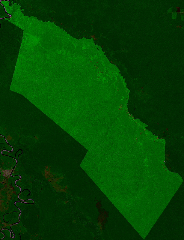 False-colour composite, 2023-06-01 to 2023-09-30
