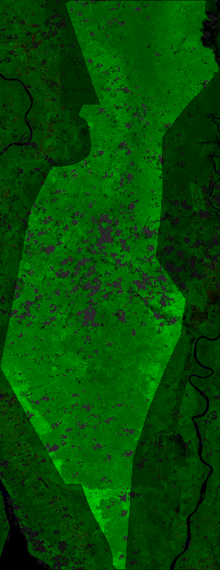 False-colour composite, 2025-07-01 to 2025-10-31