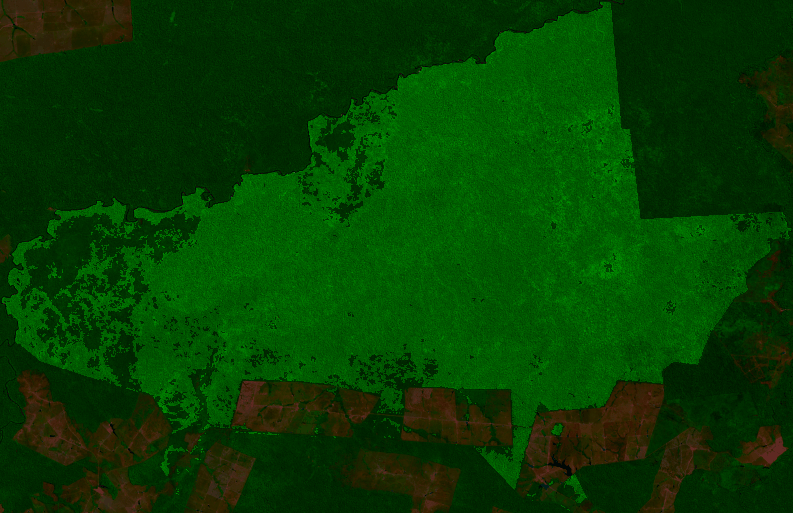 False-colour composite, 2025-06-01 to 2025-09-30