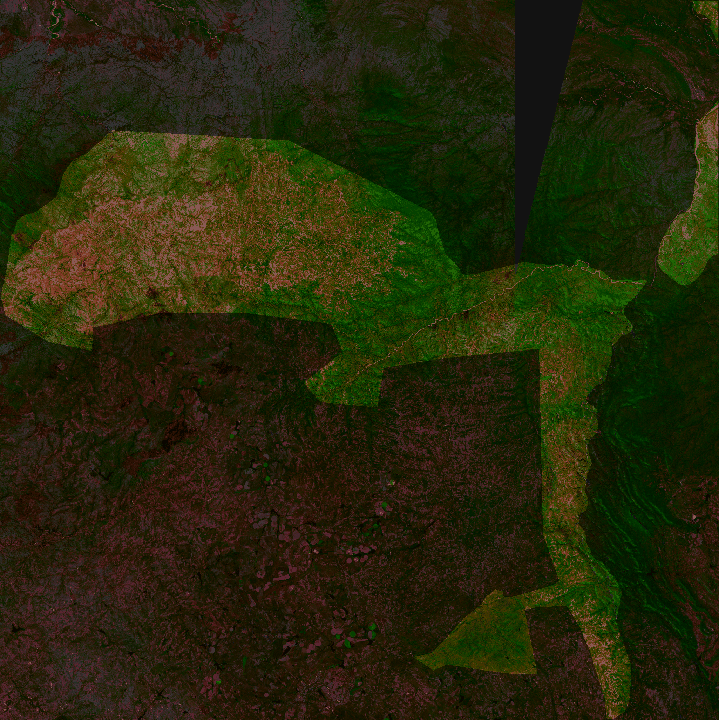 False-colour composite, 2025-05-01 to 2025-07-31